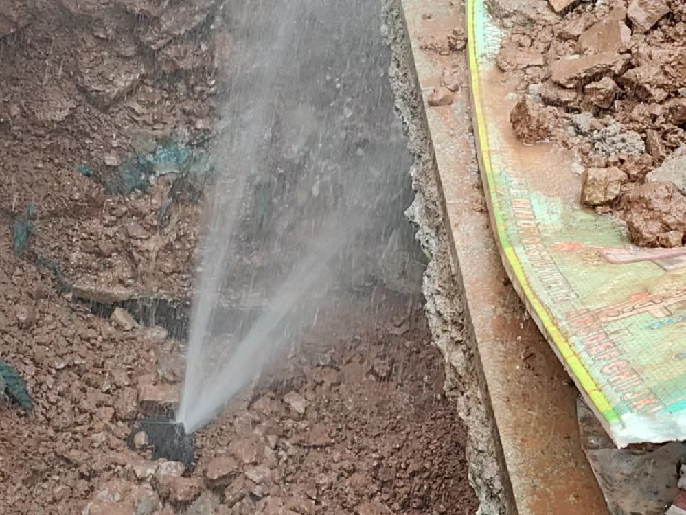 消防水管漏水检测定点开挖哪家好-利通